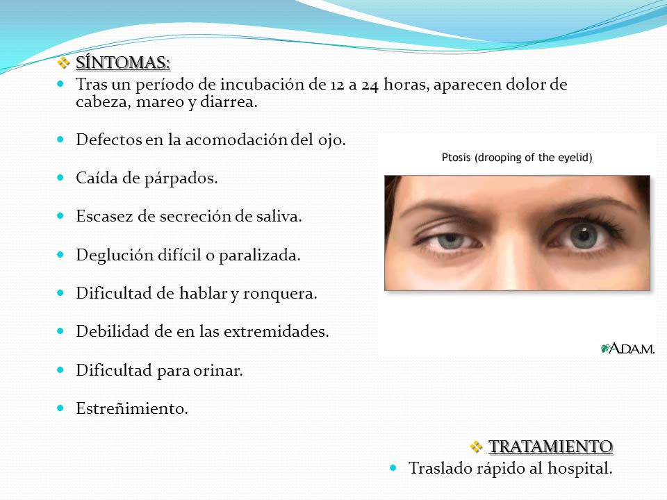 SÍNTOMAS: Tras un período de incubación de 12 a 24 horas, aparecen dolor de cabeza, mareo y diarrea.