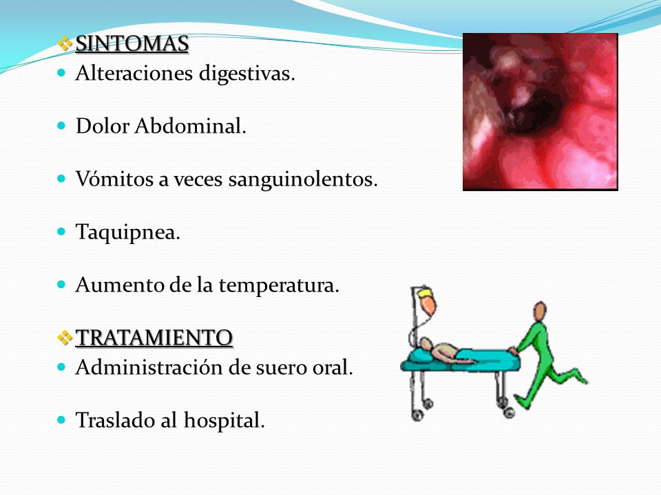 SINTOMAS Alteraciones digestivas. Dolor Abdominal. Vómitos a veces sanguinolentos. Taquipnea. Aumento de la temperatura.