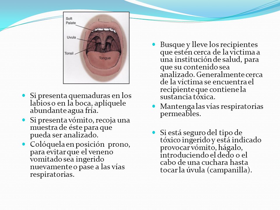 Busque y lleve los recipientes que estén cerca de la víctima a una institución de salud, para que su contenido sea analizado. Generalmente cerca de la víctima se encuentra el recipiente que contiene la sustancia tóxica.