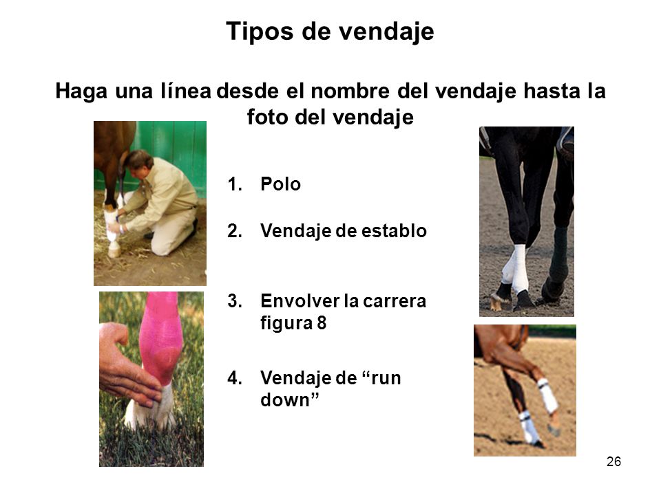 Tipos de vendaje Haga una línea desde el nombre del vendaje hasta la foto del vendaje