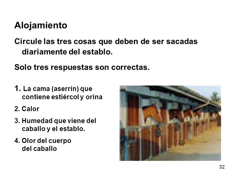 Alojamiento Circule las tres cosas que deben de ser sacadas diariamente del establo. Solo tres respuestas son correctas.