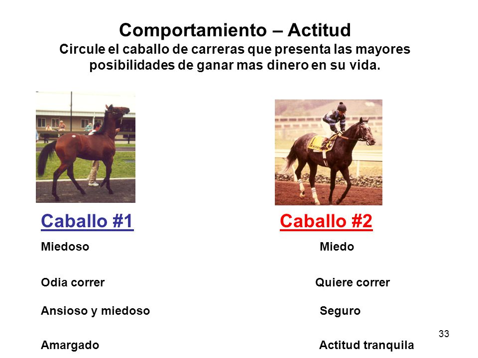 Comportamiento – Actitud Circule el caballo de carreras que presenta las mayores posibilidades de ganar mas dinero en su vida.