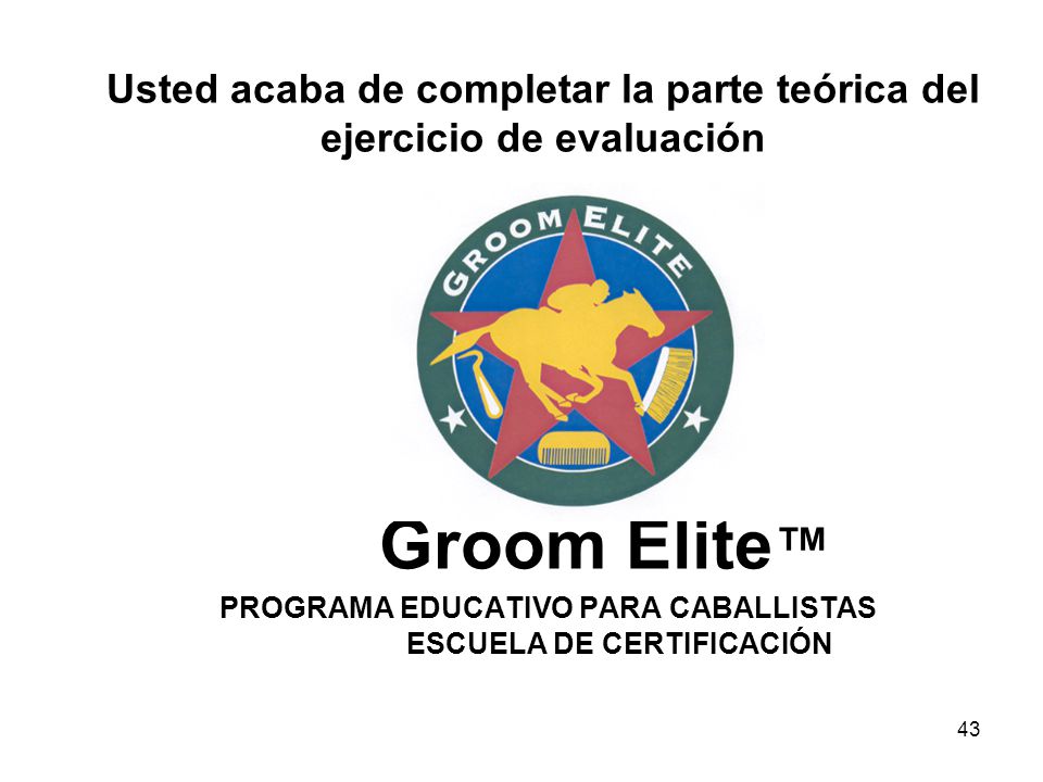Usted acaba de completar la parte teórica del ejercicio de evaluación Groom Elite™ PROGRAMA EDUCATIVO PARA CABALLISTAS ESCUELA DE CERTIFICACIÓN