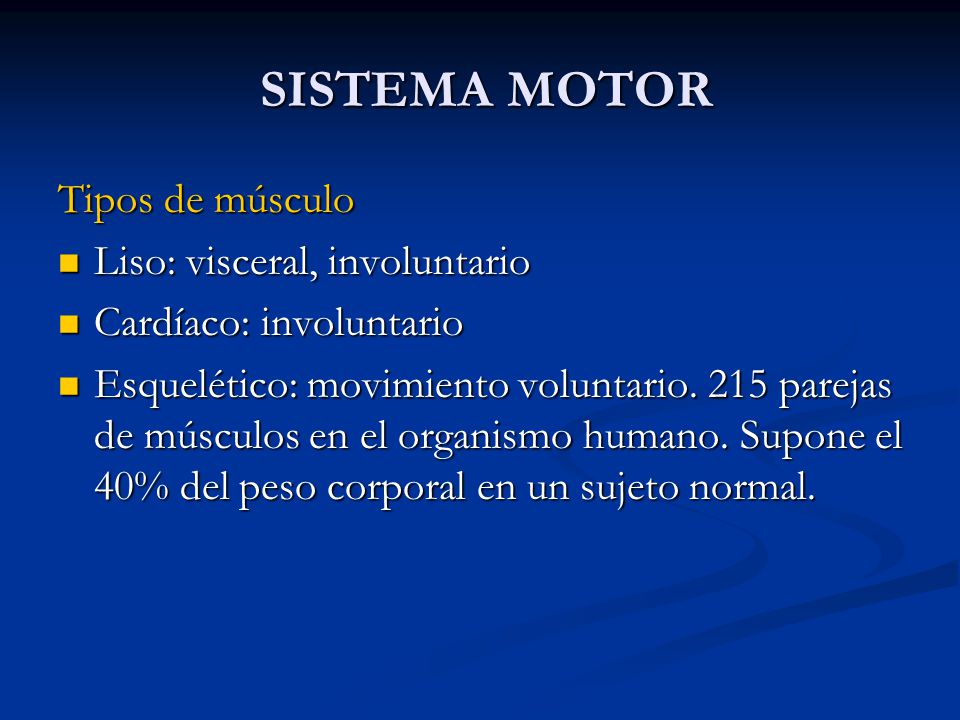 SISTEMA MOTOR Tipos de músculo Liso: visceral, involuntario