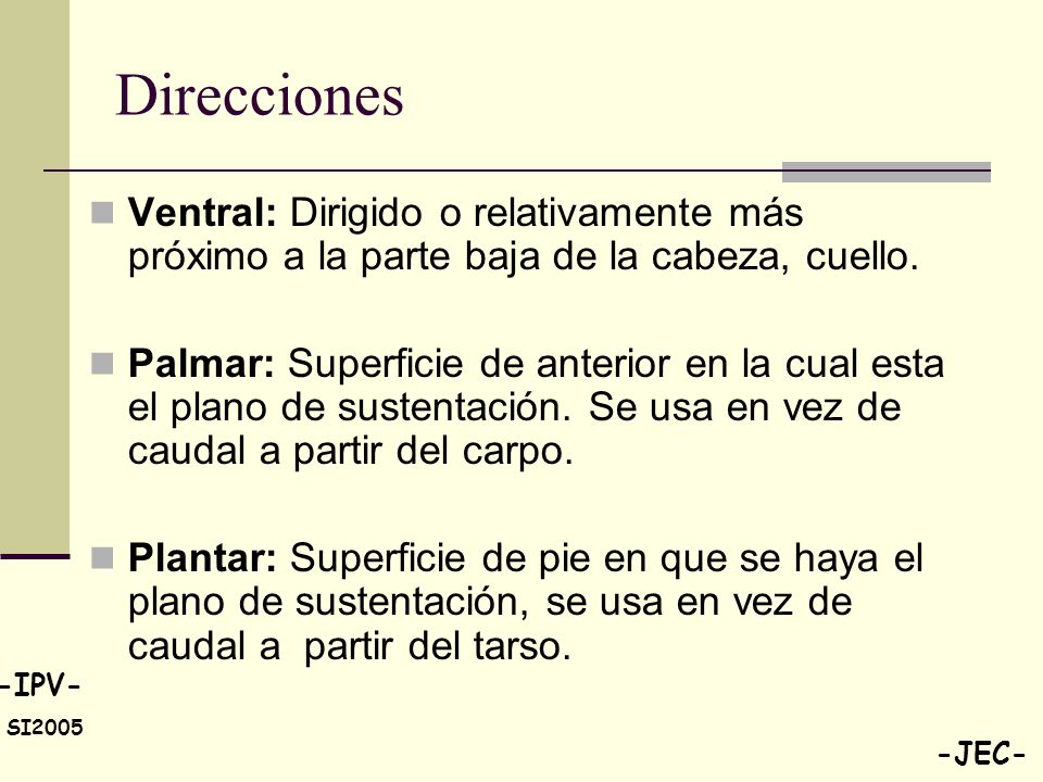 Direcciones Ventral: Dirigido o relativamente más próximo a la parte baja de la cabeza, cuello.