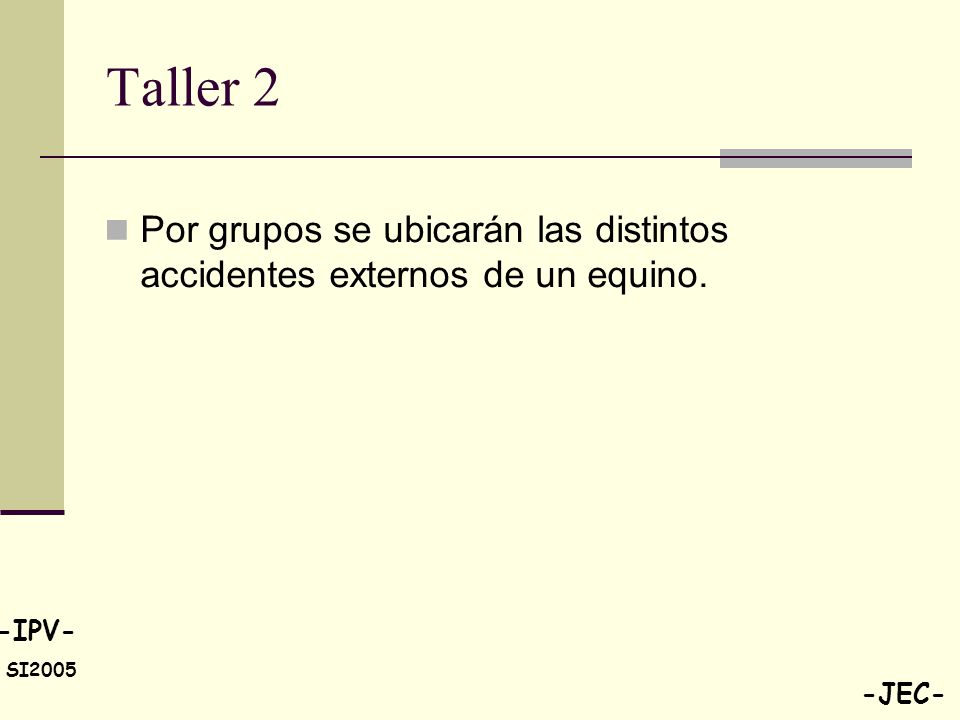 Taller 2 Por grupos se ubicarán las distintos accidentes externos de un equino.