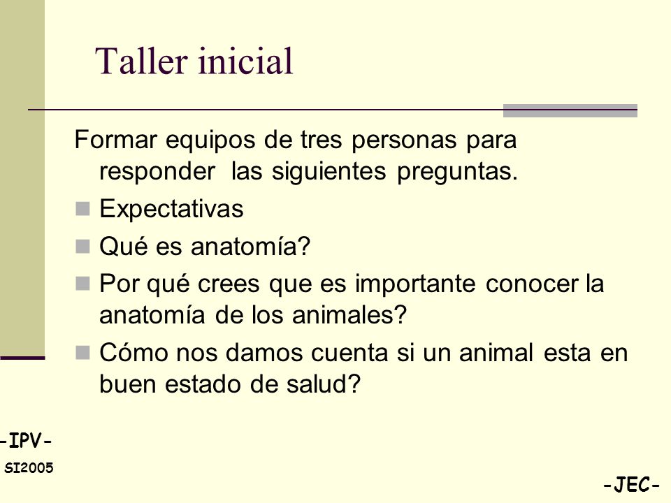 Taller inicial Formar equipos de tres personas para responder las siguientes preguntas. Expectativas.