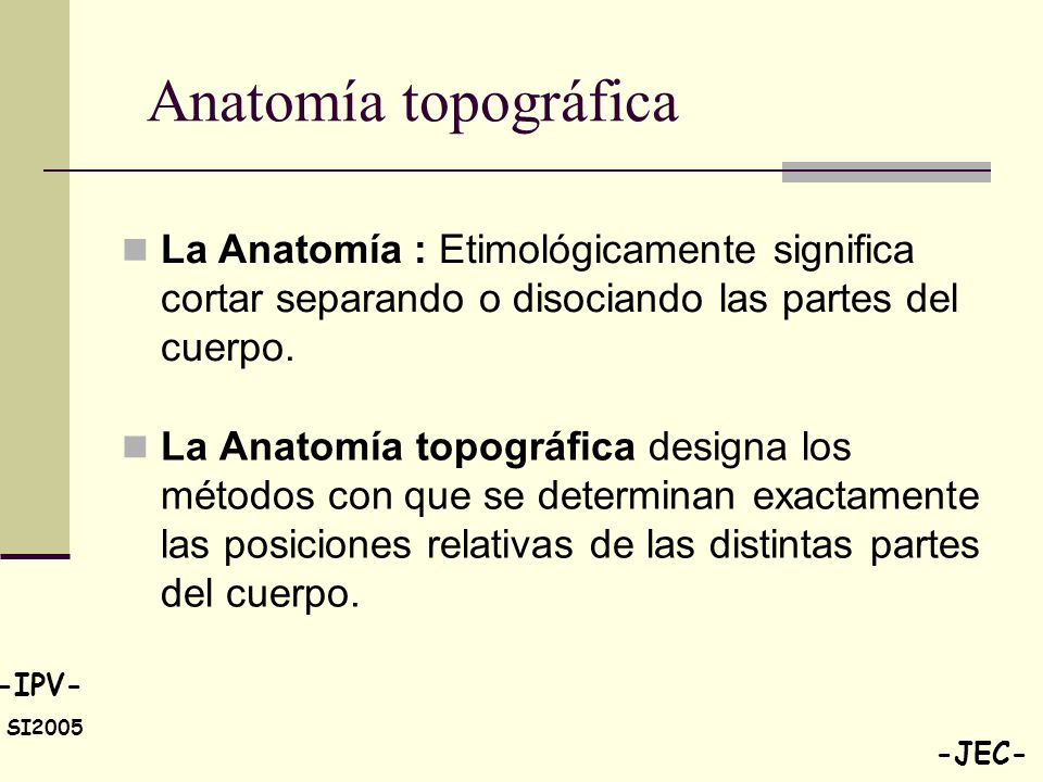 Anatomía topográfica La Anatomía : Etimológicamente significa cortar separando o disociando las partes del cuerpo.