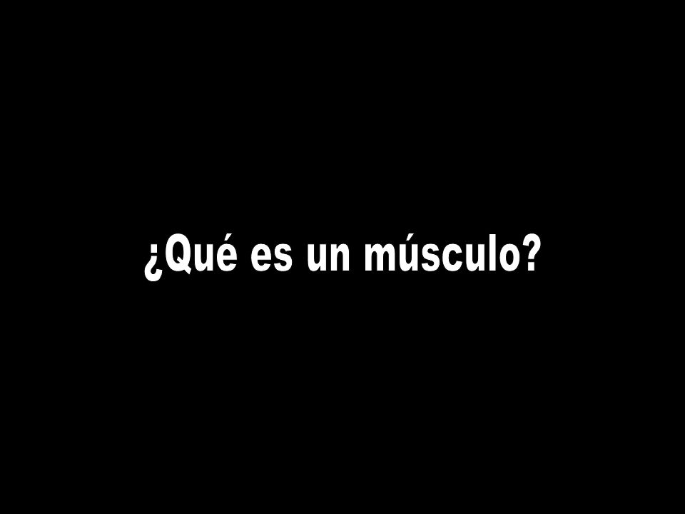 ¿Qué es un músculo