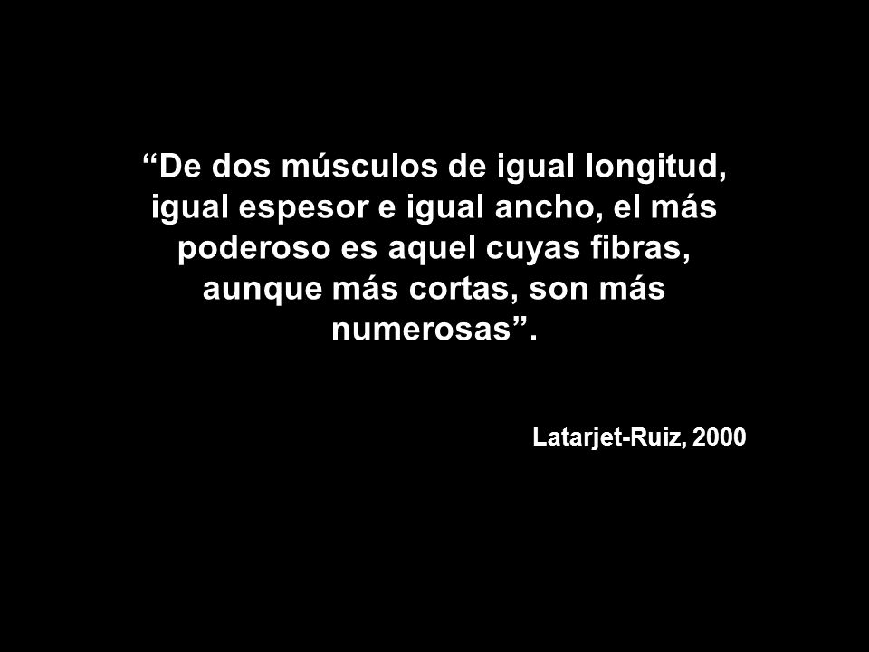 De dos músculos de igual longitud, igual espesor e igual ancho, el más poderoso es aquel cuyas fibras, aunque más cortas, son más numerosas .