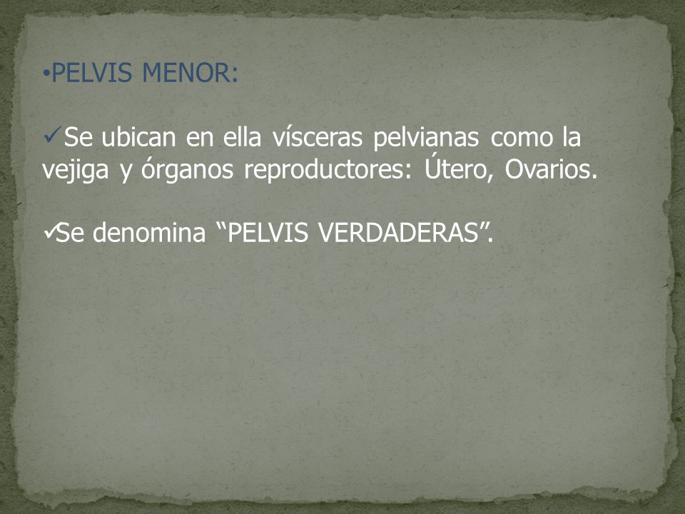 PELVIS MENOR: Se ubican en ella vísceras pelvianas como la vejiga y órganos reproductores: Útero, Ovarios.