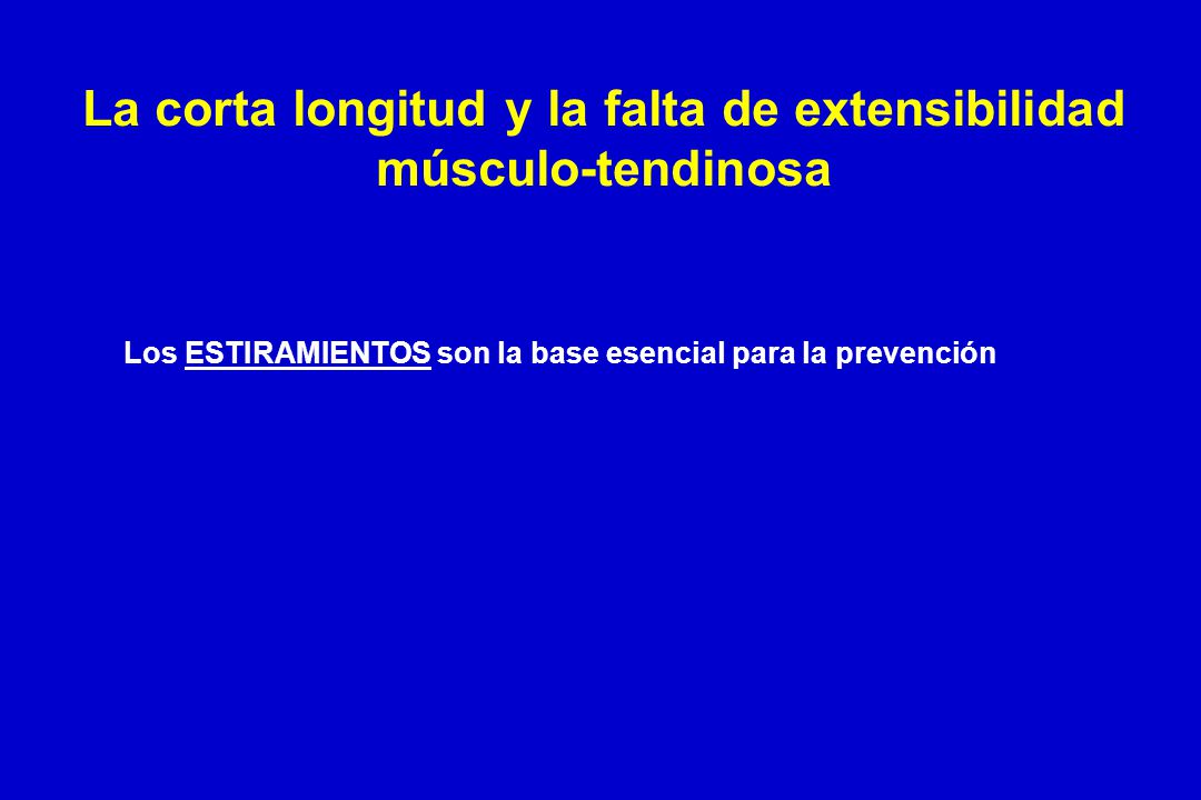La corta longitud y la falta de extensibilidad músculo-tendinosa
