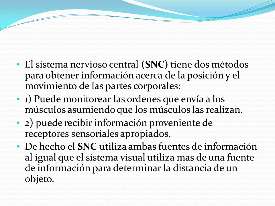 El sistema nervioso central (SNC) tiene dos métodos para obtener información acerca de la posición y el movimiento de las partes corporales: