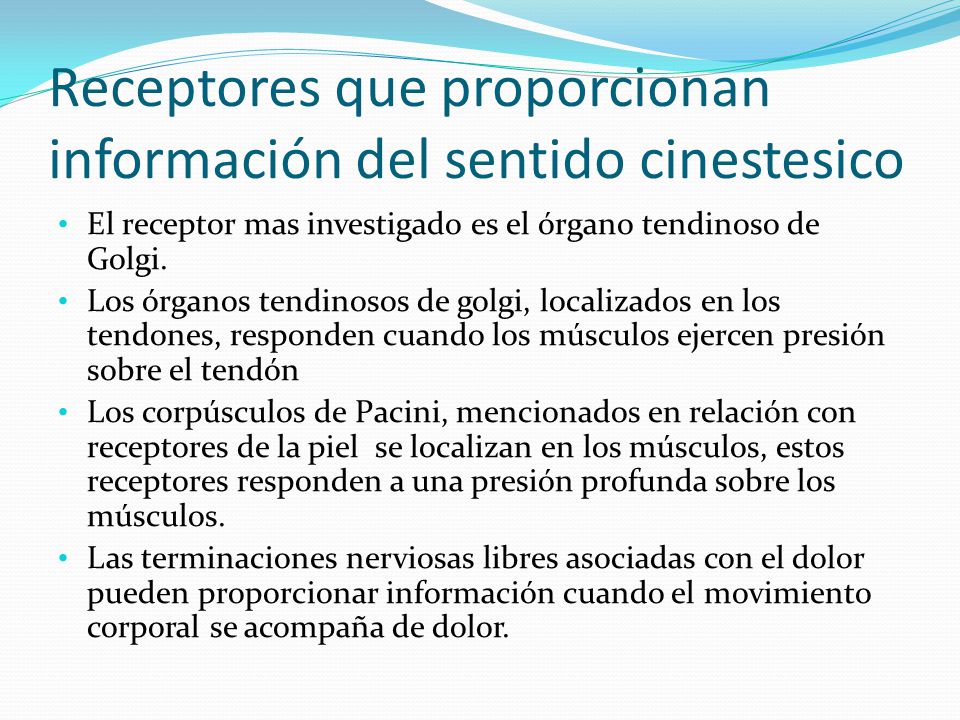 Receptores que proporcionan información del sentido cinestesico