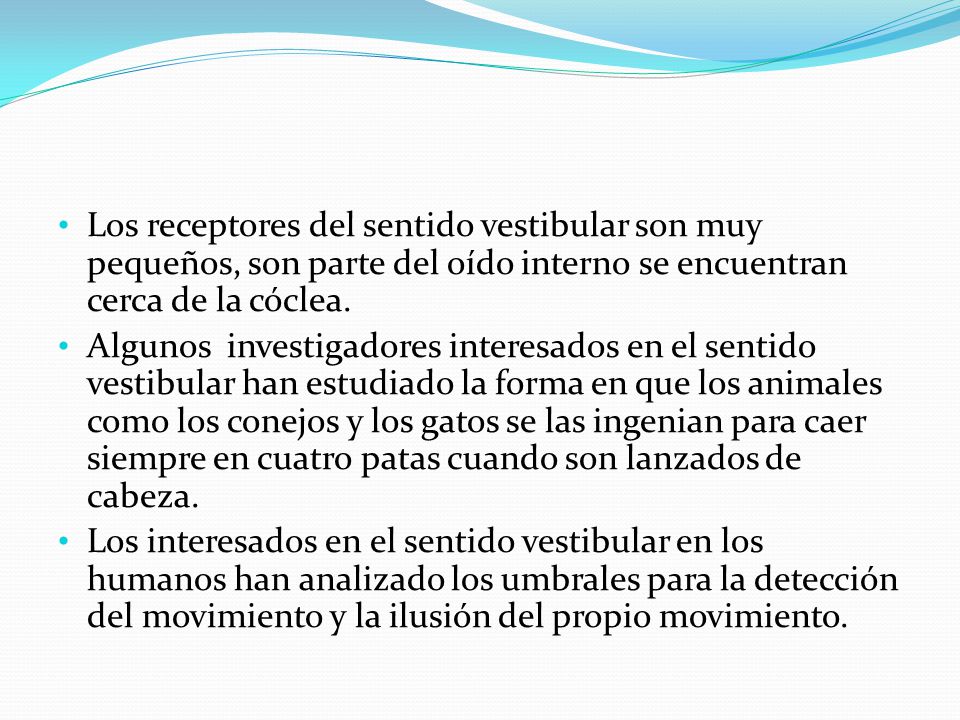 Los receptores del sentido vestibular son muy pequeños, son parte del oído interno se encuentran cerca de la cóclea.