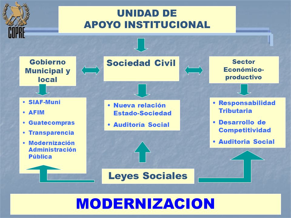 MODERNIZACION UNIDAD DE APOYO INSTITUCIONAL Leyes Sociales