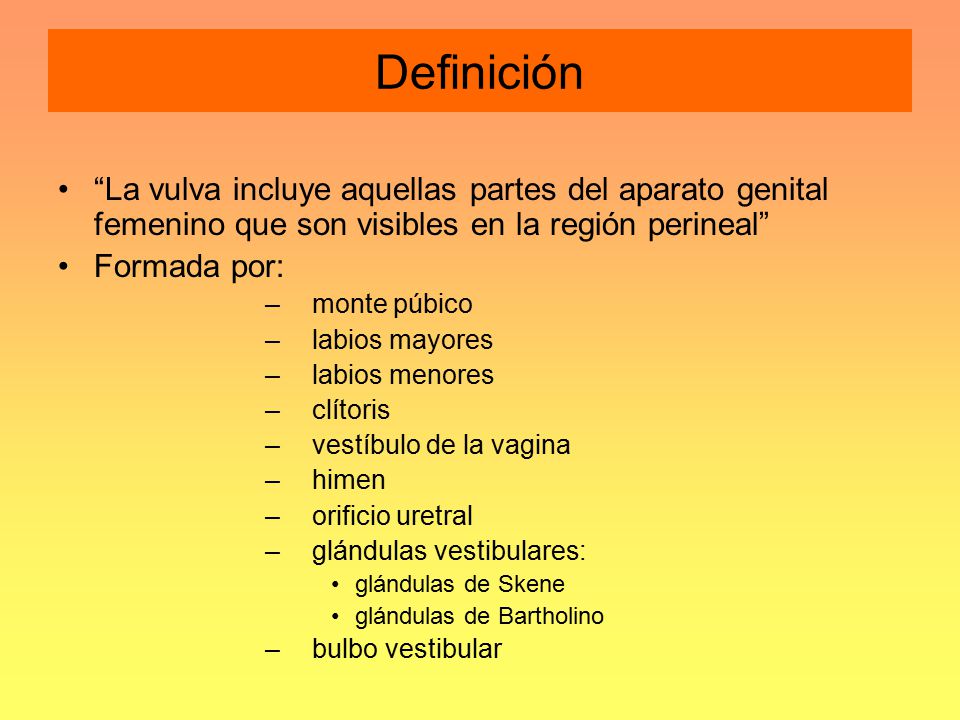 Definición La vulva incluye aquellas partes del aparato genital femenino que son visibles en la región perineal