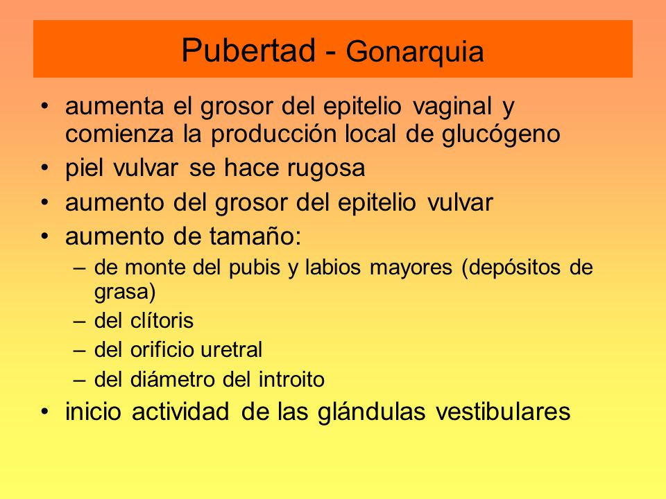 Pubertad - Gonarquia aumenta el grosor del epitelio vaginal y comienza la producción local de glucógeno.