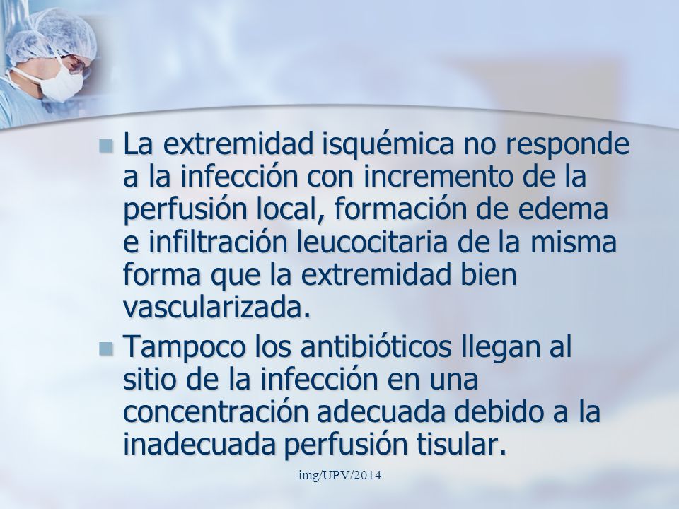 La extremidad isquémica no responde a la infección con incremento de la perfusión local, formación de edema e infiltración leucocitaria de la misma forma que la extremidad bien vascularizada.
