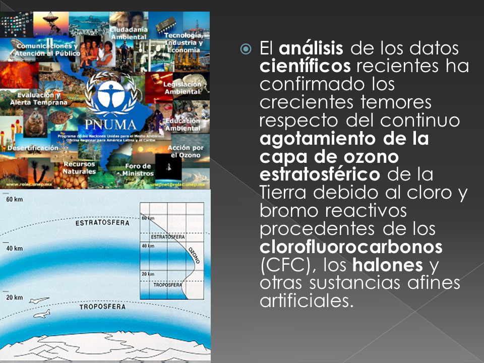 El análisis de los datos científicos recientes ha confirmado los crecientes temores respecto del continuo agotamiento de la capa de ozono estratosférico de la Tierra debido al cloro y bromo reactivos procedentes de los clorofluorocarbonos (CFC), los halones y otras sustancias afines artificiales.