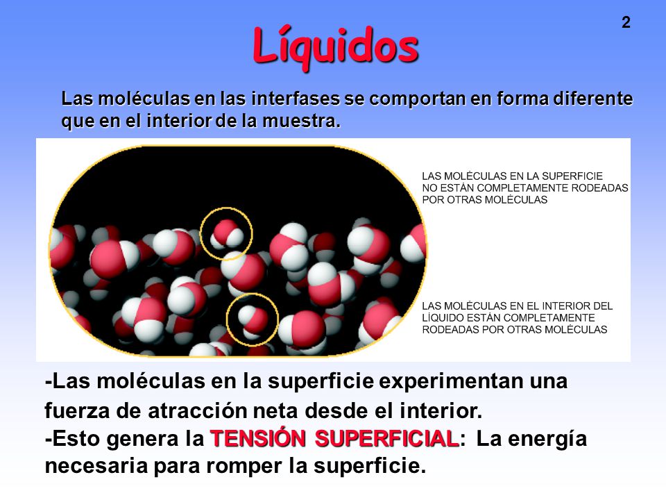 Líquidos Las moléculas en las interfases se comportan en forma diferente que en el interior de la muestra.
