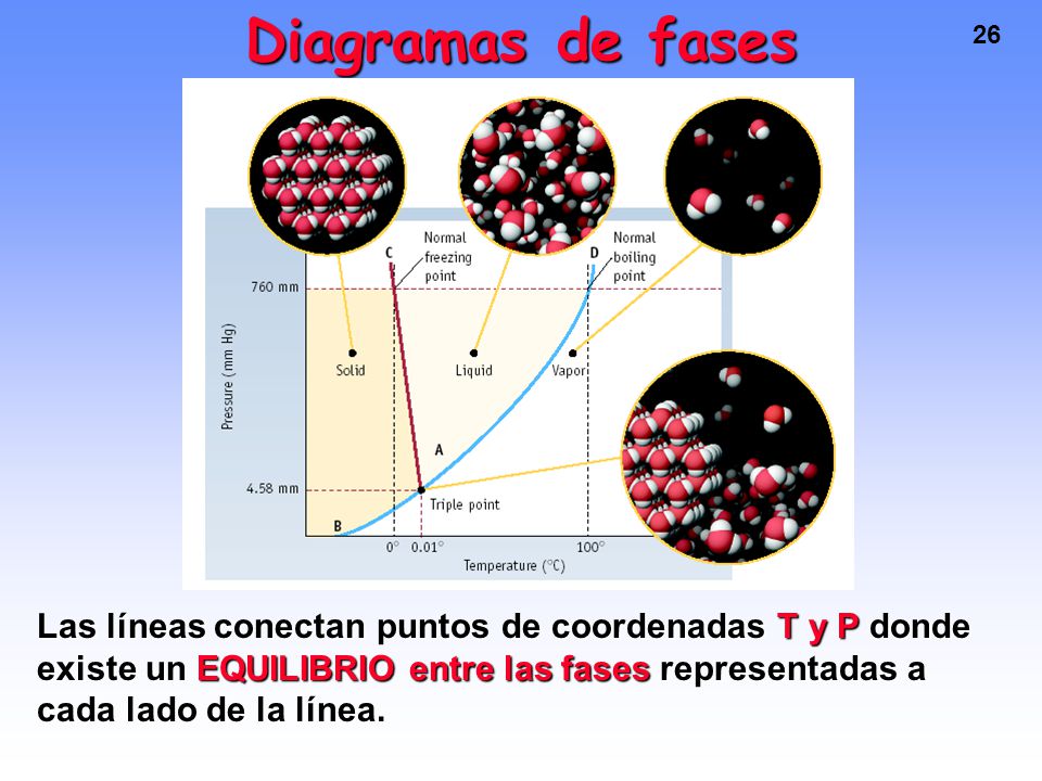 Diagramas de fases Las líneas conectan puntos de coordenadas T y P donde existe un EQUILIBRIO entre las fases representadas a cada lado de la línea.