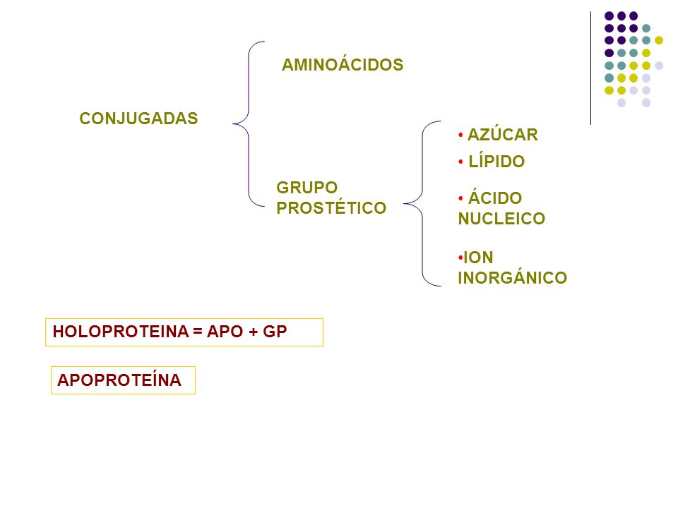 AMINOÁCIDOS CONJUGADAS. AZÚCAR. LÍPIDO. GRUPO PROSTÉTICO. ÁCIDO NUCLEICO. ION INORGÁNICO. HOLOPROTEINA = APO + GP.
