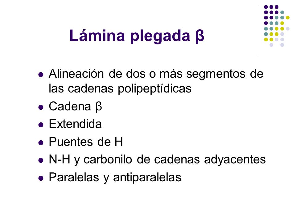 Lámina plegada β Alineación de dos o más segmentos de las cadenas polipeptídicas. Cadena β. Extendida.