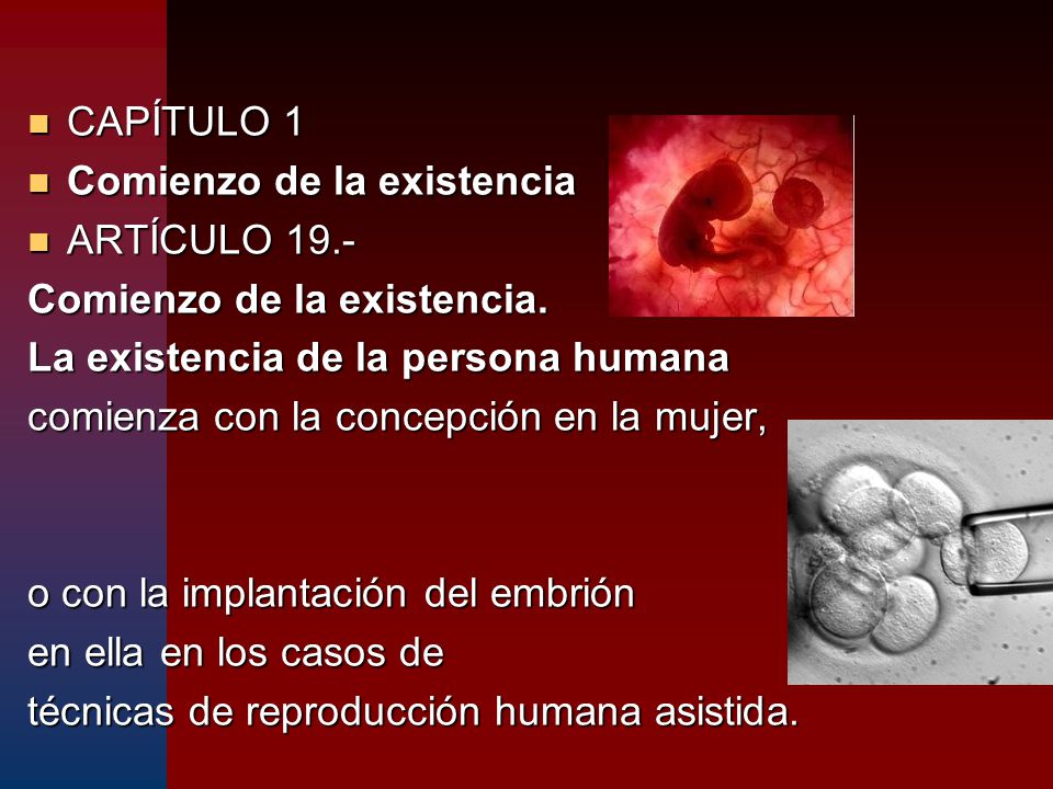 CAPÍTULO 1 Comienzo de la existencia. ARTÍCULO 19.- Comienzo de la existencia. La existencia de la persona humana.