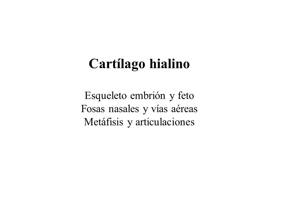 Cartílago hialino Esqueleto embrión y feto Fosas nasales y vías aéreas Metáfisis y articulaciones