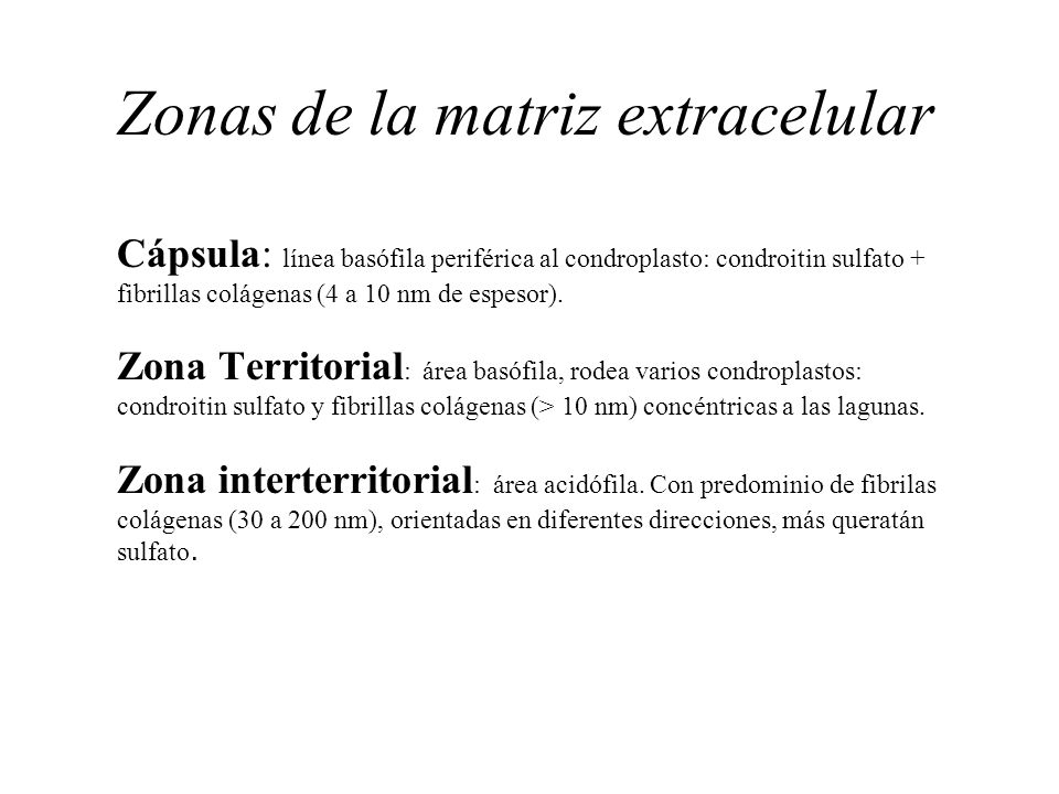 Zonas de la matriz extracelular Cápsula: línea basófila periférica al condroplasto: condroitin sulfato + fibrillas colágenas (4 a 10 nm de espesor).