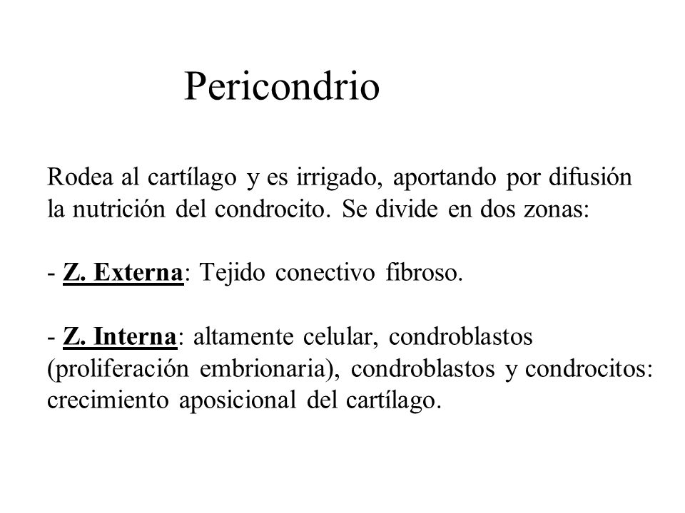 Pericondrio Rodea al cartílago y es irrigado, aportando por difusión la nutrición del condrocito.