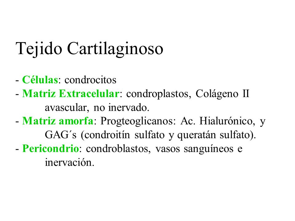 Tejido Cartilaginoso - Células: condrocitos - Matriz Extracelular: condroplastos, Colágeno II avascular, no inervado.