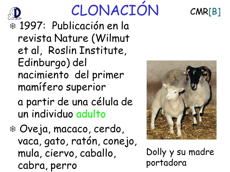 CLONACIÓN a partir de una célula de un individuo adulto