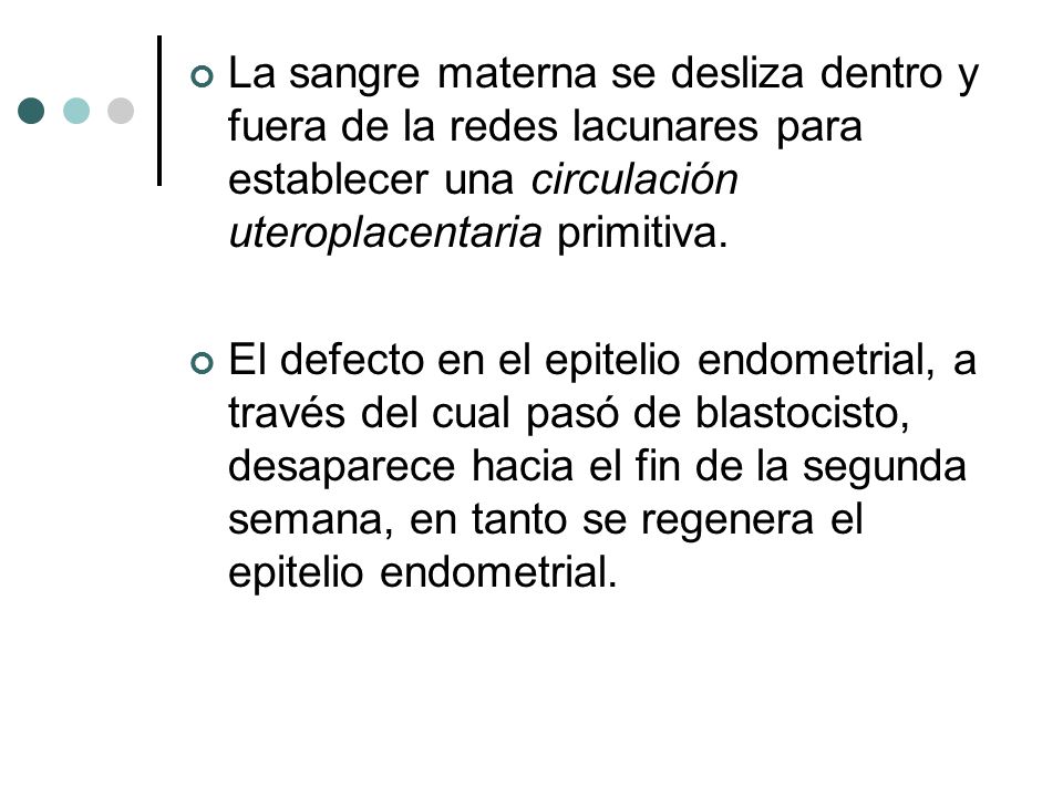 La sangre materna se desliza dentro y fuera de la redes lacunares para establecer una circulación uteroplacentaria primitiva.