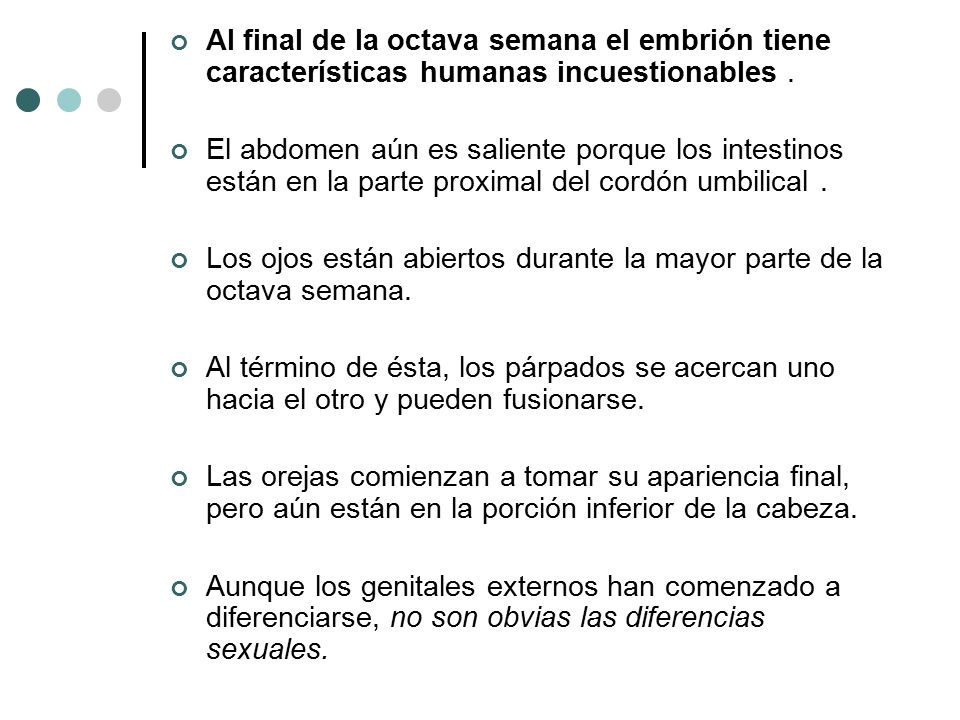 Al final de la octava semana el embrión tiene características humanas incuestionables .