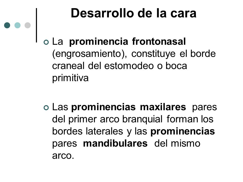 Desarrollo de la cara La prominencia frontonasal (engrosamiento), constituye el borde craneal del estomodeo o boca primitiva.