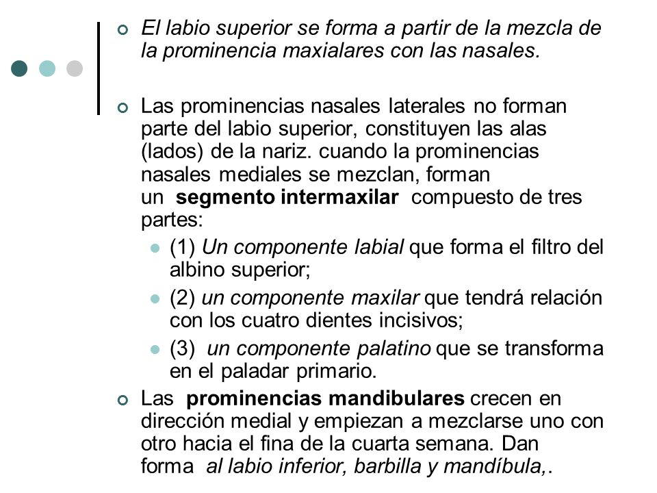 El labio superior se forma a partir de la mezcla de la prominencia maxialares con las nasales.