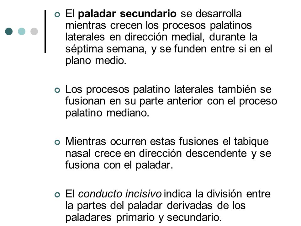 El paladar secundario se desarrolla mientras crecen los procesos palatinos laterales en dirección medial, durante la séptima semana, y se funden entre si en el plano medio.