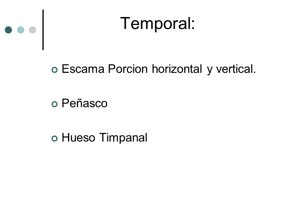 Temporal: Escama Porcion horizontal y vertical. Peñasco Hueso Timpanal