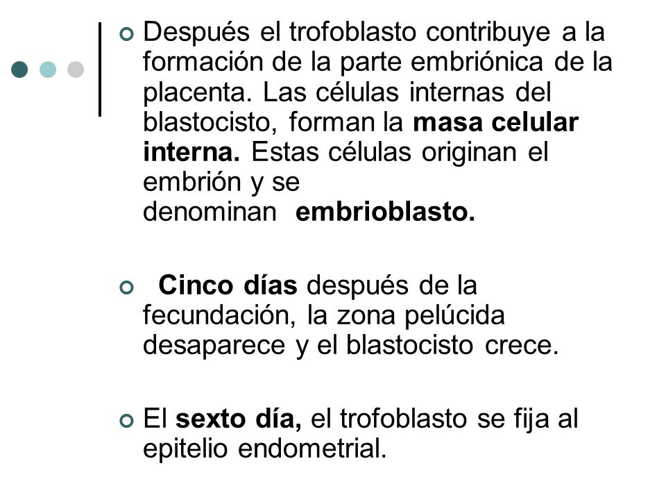 Después el trofoblasto contribuye a la formación de la parte embriónica de la placenta. Las células internas del blastocisto, forman la masa celular interna. Estas células originan el embrión y se denominan embrioblasto.