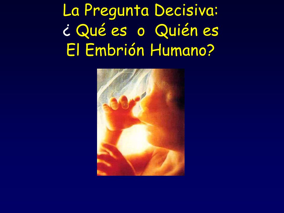 La Pregunta Decisiva: ¿ Qué es o Quién es El Embrión Humano