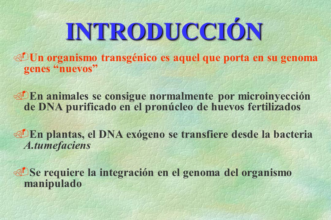 INTRODUCCIÓN Un organismo transgénico es aquel que porta en su genoma genes nuevos