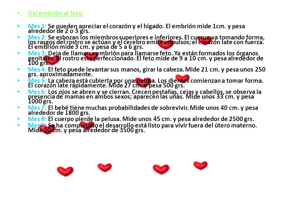 Del embrión al feto: Mes 1: Se pueden apreciar el corazón y el hígado. El embrión mide 1cm. y pesa alrededor de 2 o 3 grs.