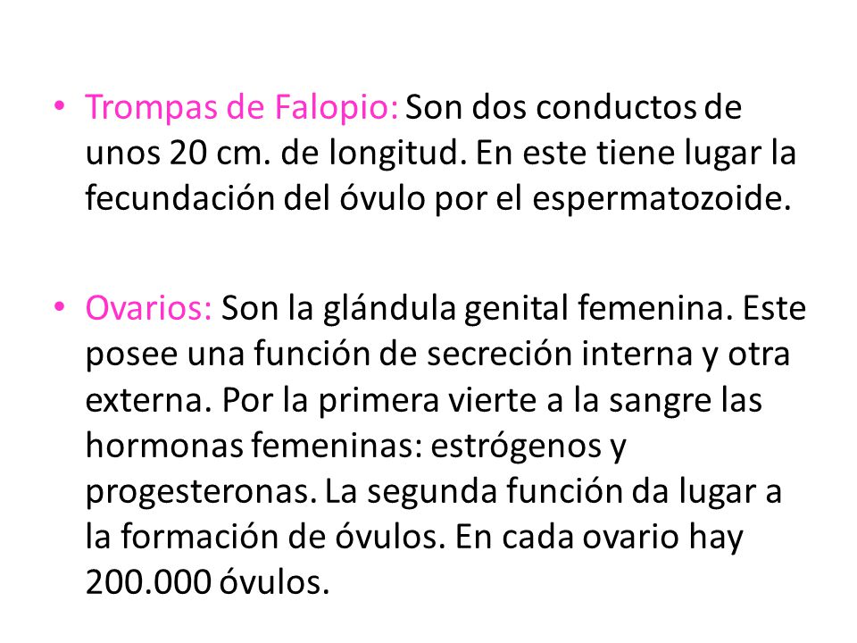 Trompas de Falopio: Son dos conductos de unos 20 cm. de longitud