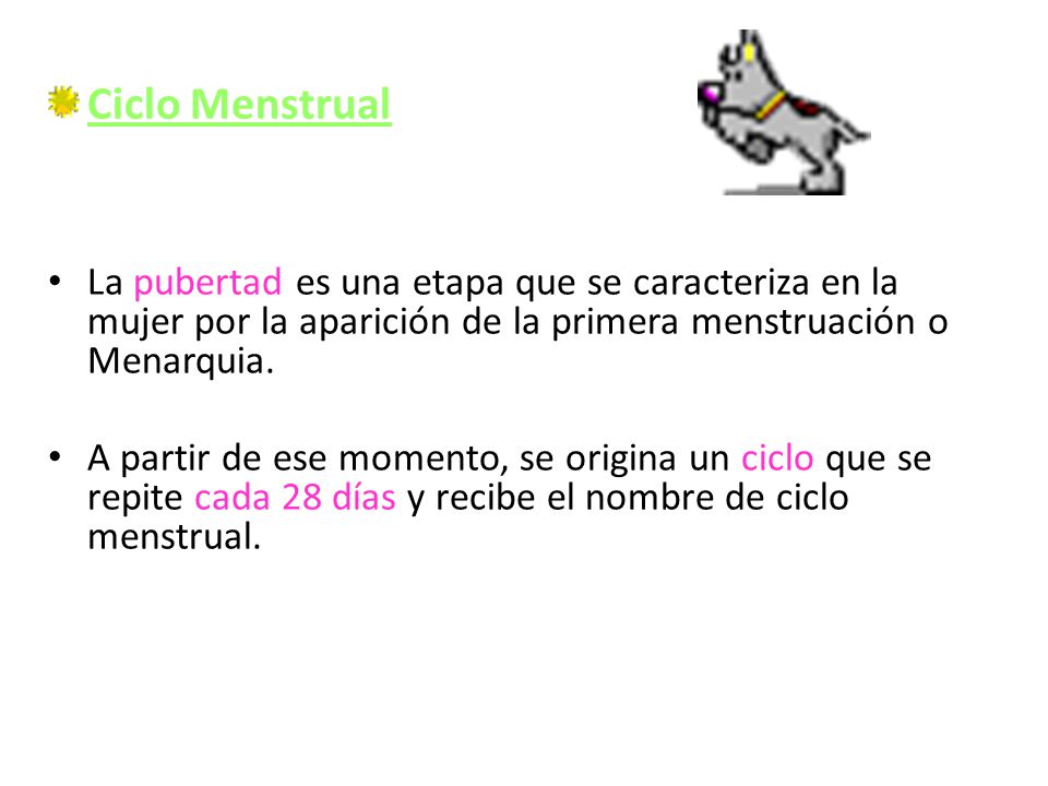 Ciclo Menstrual La pubertad es una etapa que se caracteriza en la mujer por la aparición de la primera menstruación o Menarquia.
