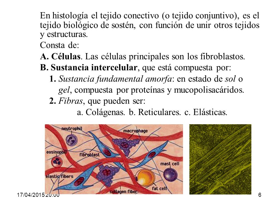En histología el tejido conectivo (o tejido conjuntivo), es el tejido biológico de sostén, con función de unir otros tejidos y estructuras.