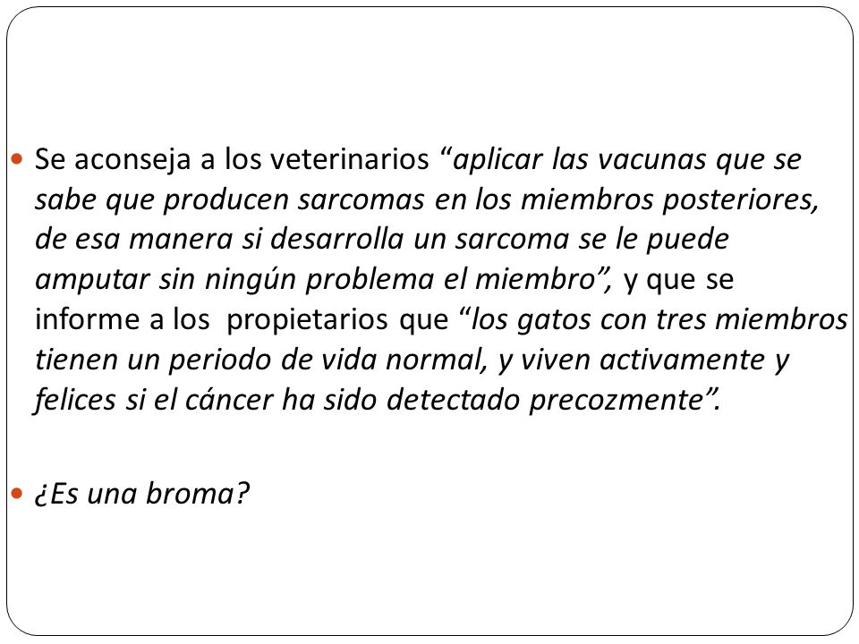 Se aconseja a los veterinarios aplicar las vacunas que se sabe que producen sarcomas en los miembros posteriores, de esa manera si desarrolla un sarcoma se le puede amputar sin ningún problema el miembro , y que se informe a los propietarios que los gatos con tres miembros tienen un periodo de vida normal, y viven activamente y felices si el cáncer ha sido detectado precozmente .