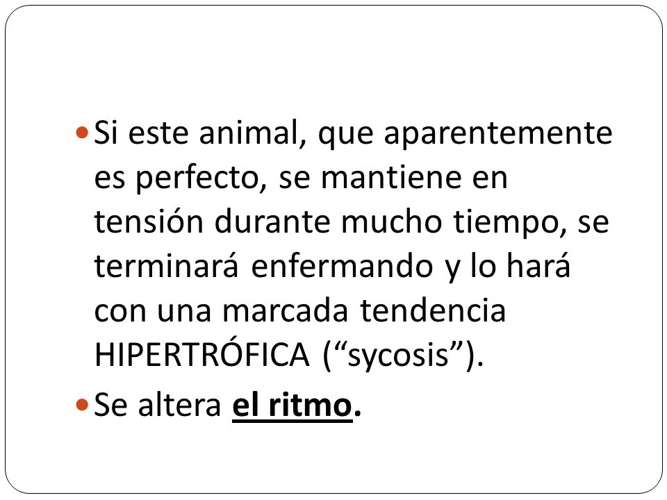 Si este animal, que aparentemente es perfecto, se mantiene en tensión durante mucho tiempo, se terminará enfermando y lo hará con una marcada tendencia HIPERTRÓFICA ( sycosis ).