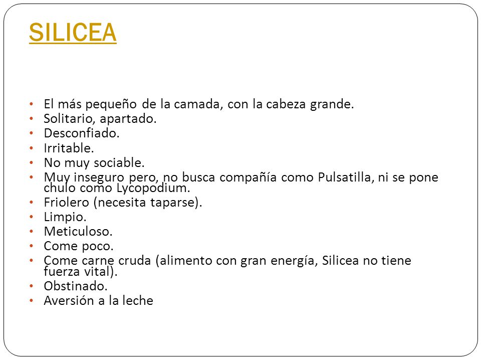SILICEA El más pequeño de la camada, con la cabeza grande.